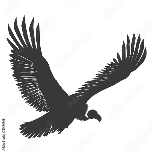 Silhouette vulture bird animal fly black color only