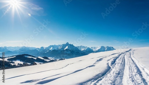 winder wonderland wide panorama snowy snowflakes on blues header background for winter © Wayne