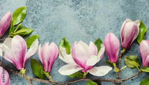 spring magnolia flowers border