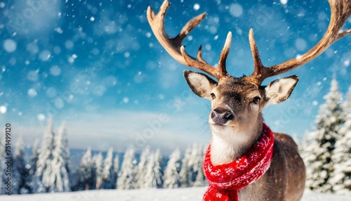 christmas deer in a scarf on a winter background place for text copyspace