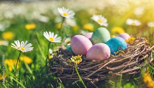 nest with easter eggs in spring flower meadow easter background banner easter card