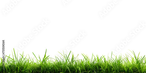 White Background with Grass Footer, Grass Footer on White Background - Ai Generated