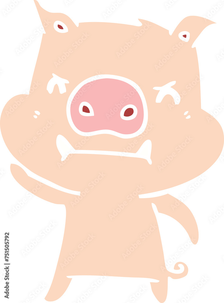 angry flat color style cartoon pig angry flat color style cartoon pig