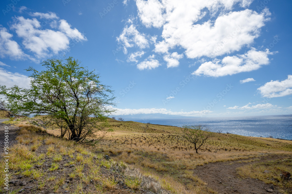 Pacific Ocean seen from the west coast of Big Island Hawaii 