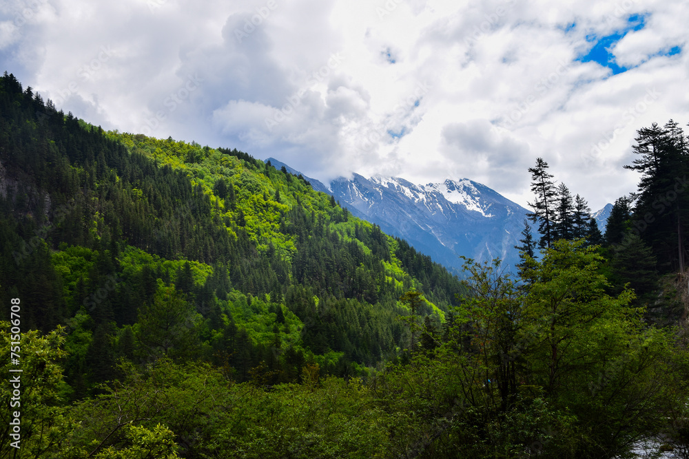 Jiuzhai Valley National Park Summer View in Sichuan Province, China Jiuzhai Valley National Park Summer View in Sichuan Province, China