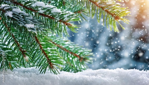green pine branches in the snow christmas background