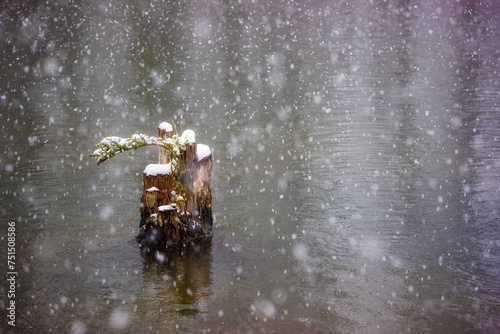 Winter scenes along the South Holston River in Bristol, Tennessee, USA