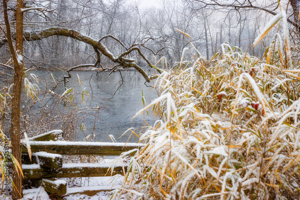 Φωτογραφία Winter landscape at Sycamore Shouls State Historic Park in Elizabethton, Tenness