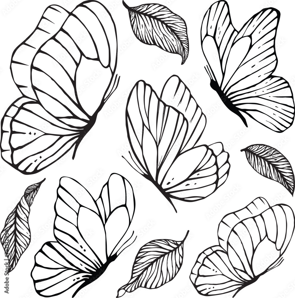 Butterfly, line, black, graphic, element, sketch, insect, flying Butterfly, line, black, graphic, element, sketch, insect, flying
