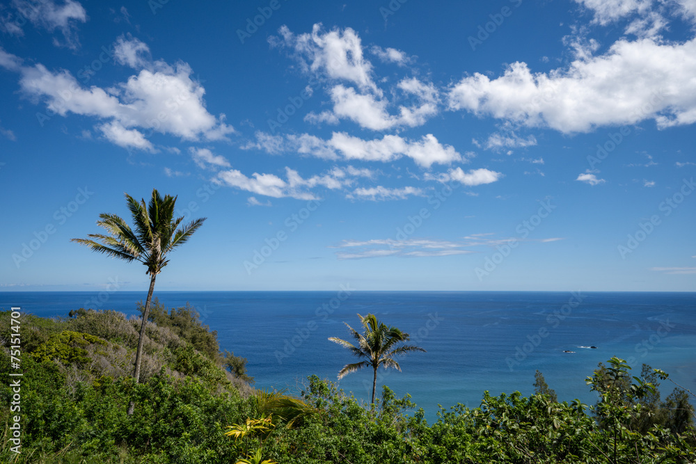 Pololu Valley with 2 palm trees on Big Island Hawaii