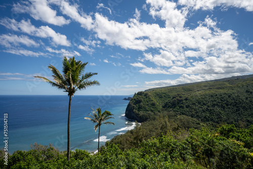 Pololu Valley with 2 palm trees on Big Island Hawaii