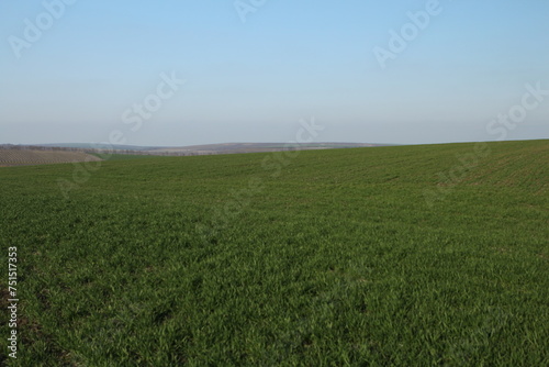 A grassy field with a blue sky