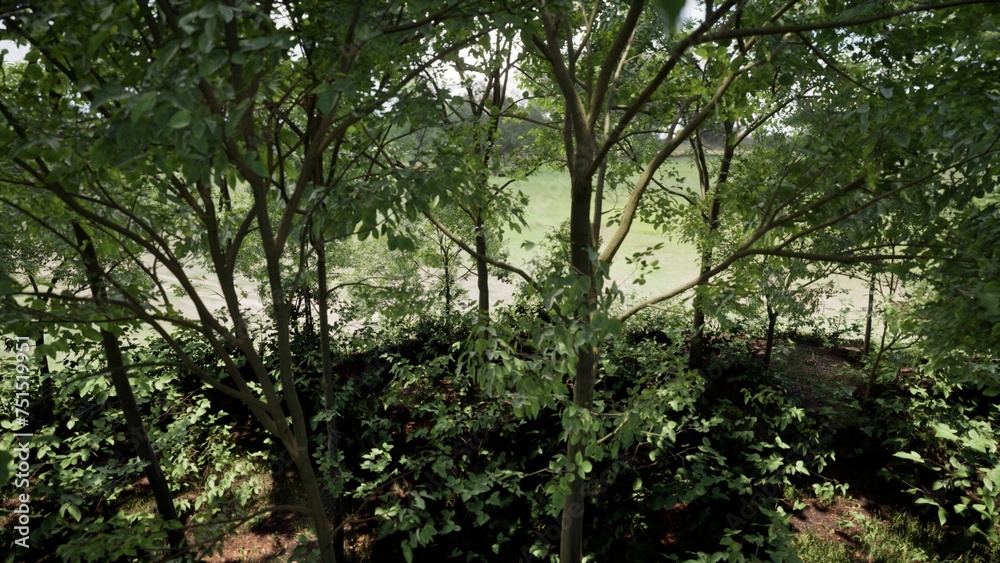 3D RENDER GREEN FOREST NATURE LANDSCAPE 3D RENDER GREEN FOREST NATURE LANDSCAPE