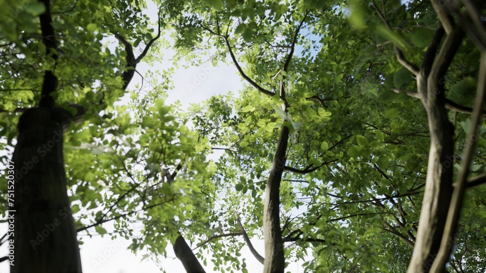 Fototapeta premium 3D RENDER GREEN FOREST NATURE LANDSCAPE
