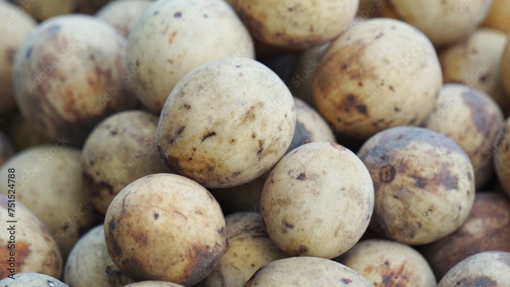 Lansium parasiticum (duku, langsat, kokosan, pisitan, celoring). Lansium parasiticum is cultivated mainly for its fruit, which can be eaten raw. The fruit can also be bottled in syrup Lansium parasiticum (duku, langsat, kokosan, pisitan, celoring). Lansium parasiticum is cultivated mainly for its fruit, which can be eaten raw. The fruit can also be bottled in syrup