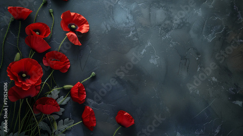 Remembrance Day dark background with red poppies and empty copy space for text. Veterans Day. Anzac day. Banner template
