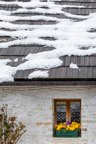 Snow melting on a wooden rustic rooftop with colourful flowers symbolising the coming of spring