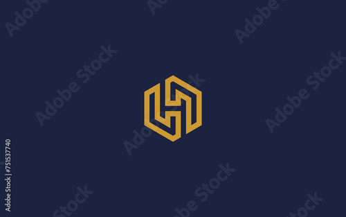 letter h with hexagon logo icon design vector design template inspiration