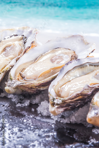 Fresh oysters on ice, close up. Seafood restaurant menu