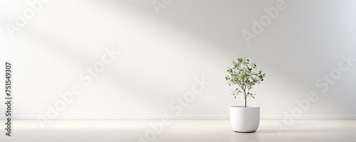 A single white flowerpot bursting with life sits in a pristinely white room, providing a spark of beauty and life amidst the stark stillness of the walls and photo
