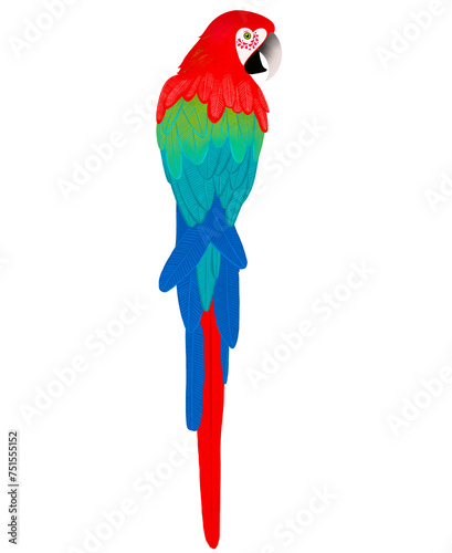 Arara vermelha, pássaro, ave, animal, ilustração, carnaval, nordeste, amazônia, tropical, natureza, floresta photo