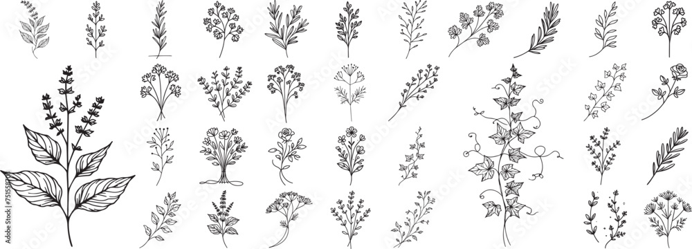 gentle charms of nature, minimalist plant drawings, vector black collection set hand drawing doodle style minimalistic - obrazy, fototapety, plakaty 
