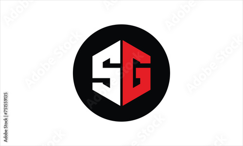 SG initial letter polygon icon gaming logo design vector template. batman logo, sports logo, monogram, falcon, war game, symbol, playing logo, abstract, fighting, typography, icon, minimal, premier 