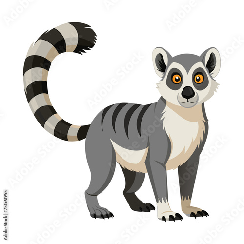  Lemur illustration on White Background