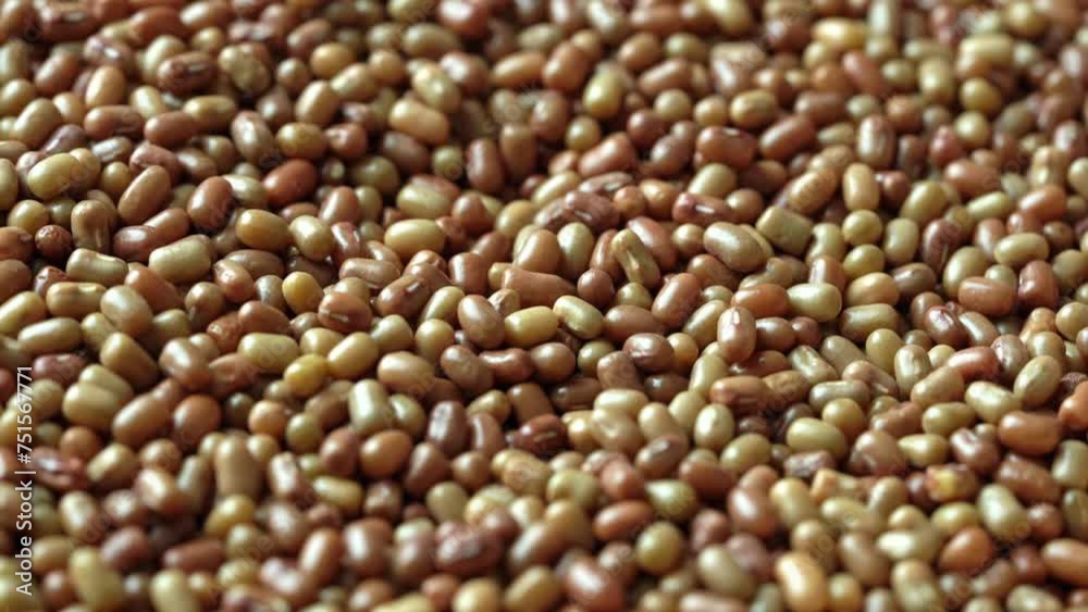 close up moth bean seed food texture background rotate footage close up moth bean seed food texture background rotate footage