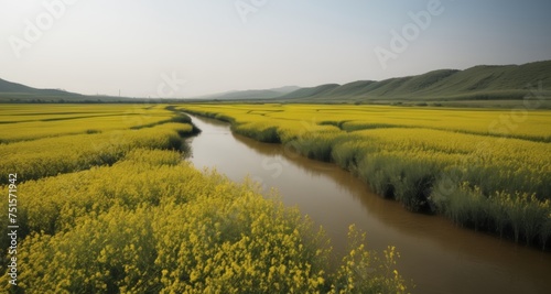  Vibrant fields of yellow flowers line a serene river