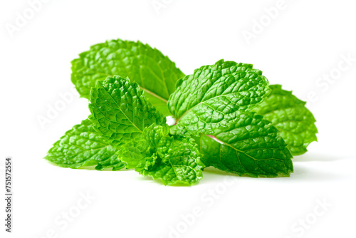 Mint leaf. Fresh mint on white background. Mint leaves isolated. herb and medicine