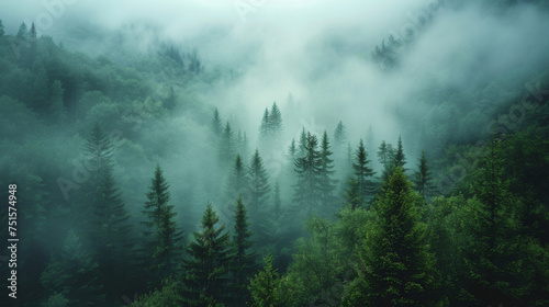 Misty foggy mountain landscape with fir forest and copyspace in vintage retro hipster style. © Matthew
