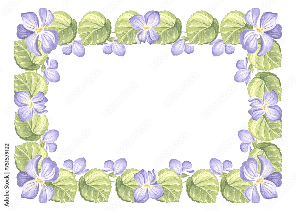Horizontal frame from wild violets with green leaves. Isolated hand drawn watercolor illustration of spring pansy flower blossom. Template with copy space for postcard of Mothers day, 8 March, wedding