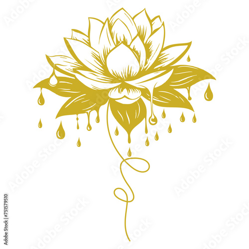 lotus flower illustration vector