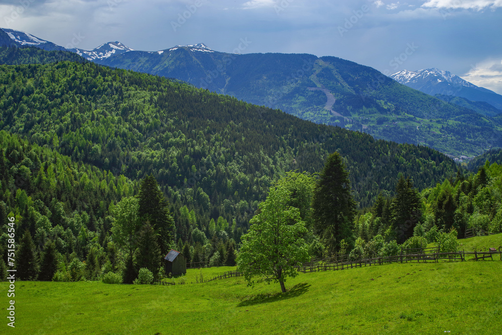 Rodnei Mountains National Park, Romania, Romanian Carpathian Mountains, Europe.