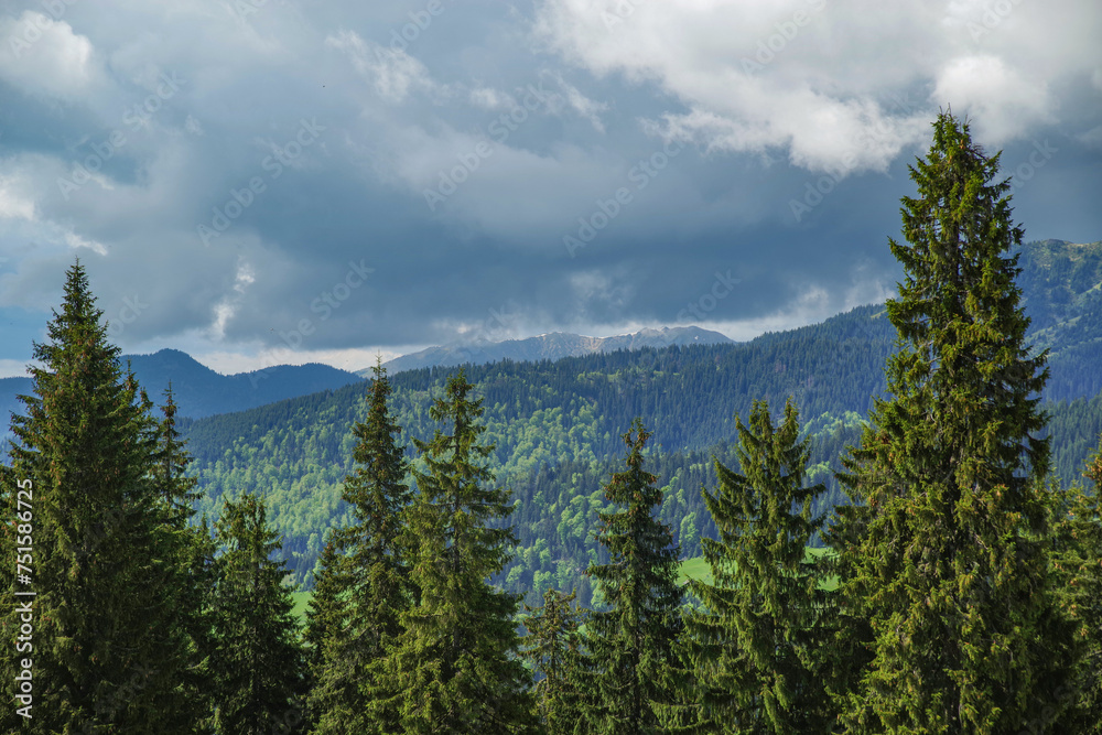 Summer landscape of Rodnei Mountains National Park, Romania, Romanian Carpathian Mountains, Europe.	