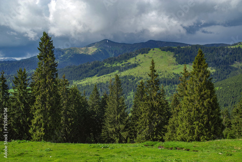 Summer landscape of Rodnei Mountains National Park, Romania, Romanian Carpathian Mountains, Europe.	 photo