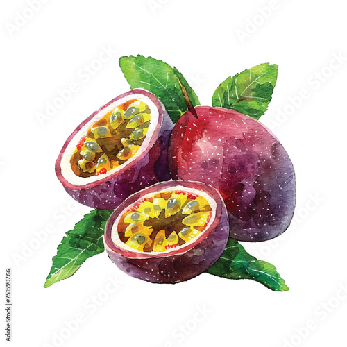 cute passion fruit vector illustration in watercolour style