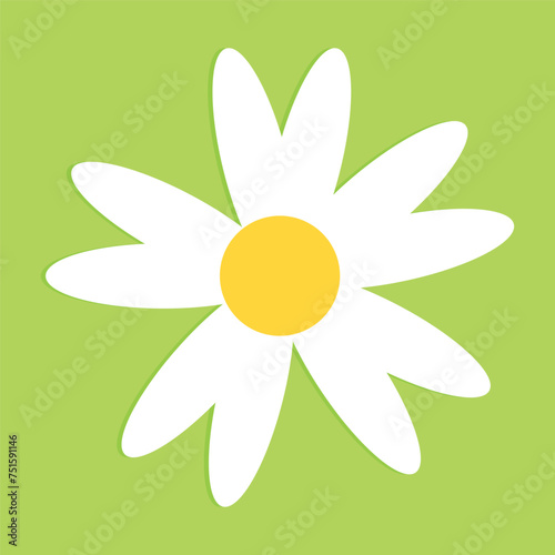 Set of daisy flowers icons isolated on green background vector illustration.