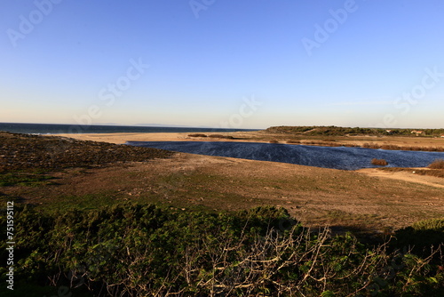 Reserva natural das lagoas de santo andré e da sancha located on the  west coast of Portugal photo