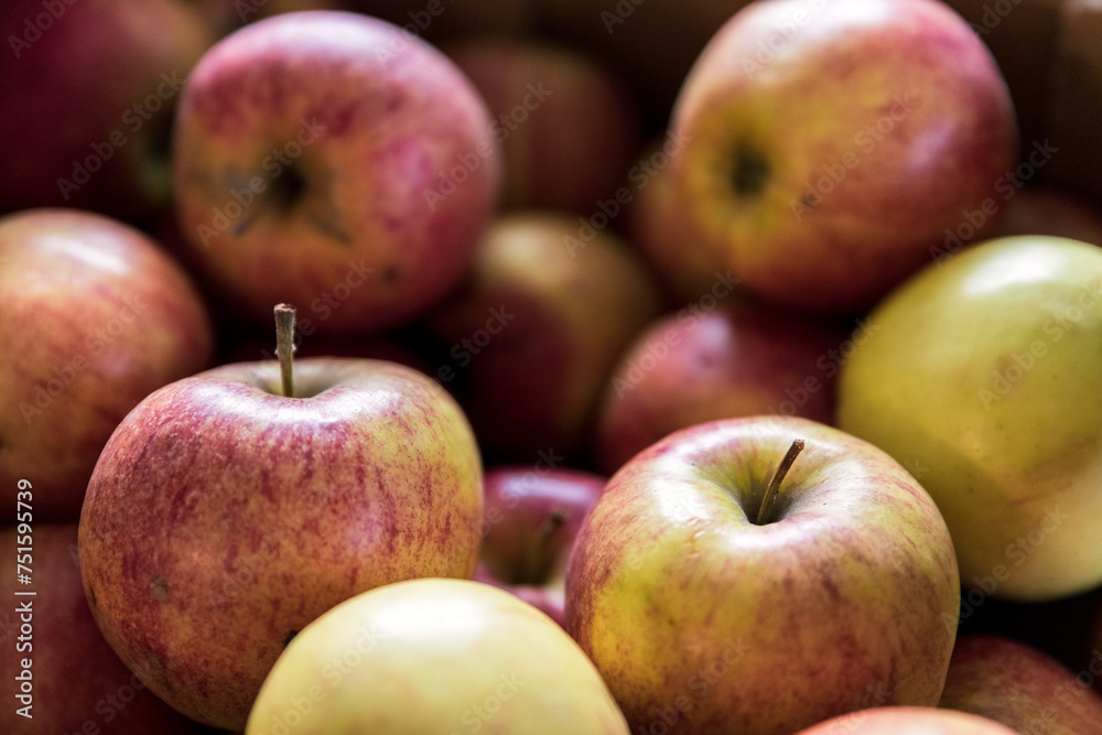 Frische Früchte Frische Früchte