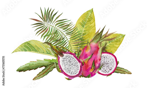 Watercolor illustration of a red dragon fruit, half of a pitahaya with slices and green tropical leaves. Botanical composition for vegetarian exotic products, prints, stickers. photo