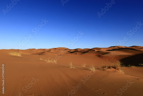Erg Chebbi is one of Morocco s several ergs which is a large seas of dunes formed by wind-blown sand.