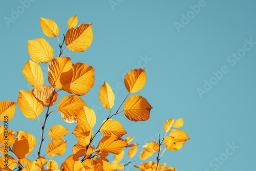 A minimalist composition of mid-yellow leaves against a stark, clear blue sky, offering a peaceful backdrop with generous copy space