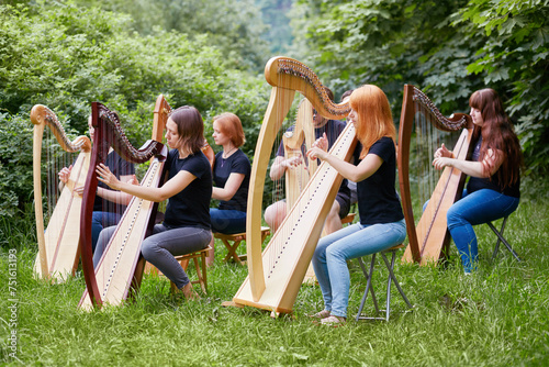 Ensemble of six young musicians performs outdoors in park at grassy lawn photo