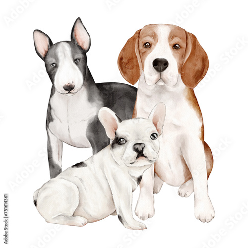 Watercolor set with dogs: bull terrier, French bulldog, beagle. Hand-drawn illustration of cute pets. Isolated clipart for design postcards, packaging, posters.