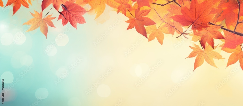 A branch of a tree filled with bright and colorful autumn leaves stands out against a clear blue sky, showcasing the beauty of the fall season. A branch of a tree filled with bright and colorful autumn leaves stands out against a clear blue sky, showcasing the beauty of the fall season.
