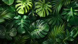 Creative nature green background, tropical leaf banner or floral jungle pattern concept