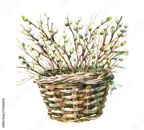 Watercolor wicker basket with twigs and leaves. Symbols of Easter. A bouquet of green branches in a basket. Vector illustration