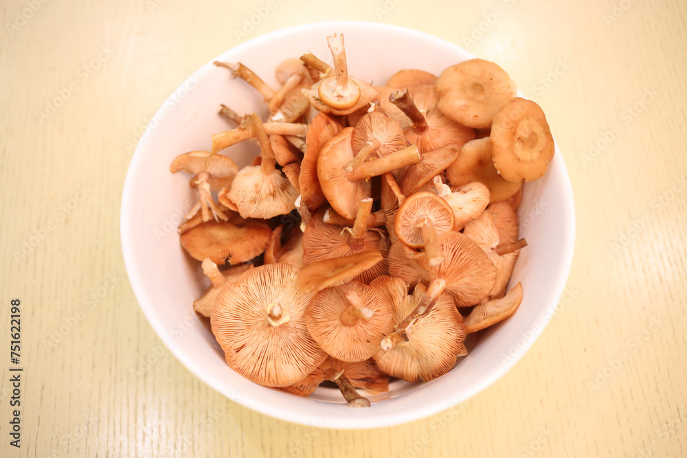 Raw fresh Honey mushrooms in white plate on wooden table Raw fresh Honey mushrooms in white plate on wooden table